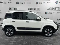 Usata Fiat Panda Cross Cross 70 CV (51 kW) 2025 Bianco Utilitaria