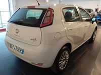 usata Fiat Punto 5 Porte 1.4 Natural Power 70cv Street