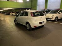 usata Fiat Punto 1.4 8V 5 porte Neopatentati