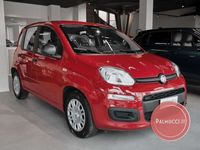 Usata Fiat Panda S 70 CV (51 kW) 2024 Giallo pastello Utilitaria