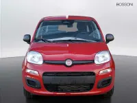 Usata Fiat Panda Pop 65 CV (47 kW) 2025 Rosso Utilitaria