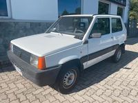 Usata Fiat Panda 4x4 54 CV (39 kW) 1998 Bianco Utilitaria
