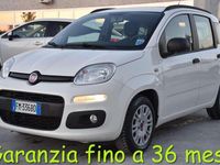 Usata Fiat Panda Easy 69 CV (50 kW) 2017 Bianco Utilitaria