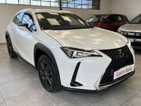 usata Lexus UX UX 250hHybrid 4WD *UNICO PROPRIETARIO*