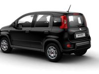 usata Fiat Panda New1.0 FireFly S&S Hybrid