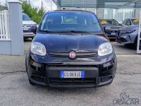 Usata Fiat Panda S 69 CV (50 kW) 2024 Nero Utilitaria