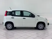 Usata Fiat Panda Easy 69 CV (50 kW) 2020 Bianco Utilitaria