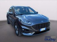 Usata Ford Kuga ST-Line 150 CV (110 kW) 2023 Grigio SUV