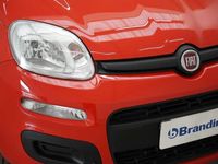 usata Fiat Panda 1.0 hybrid easy connect s&s 70cv