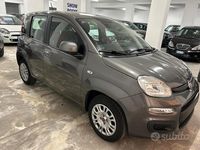 Usata Fiat Panda Easy 69 CV (50 kW) 2020 Grigio Berlina
