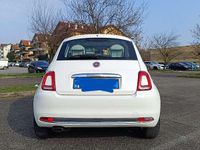 Usata Fiat 500C Lounge 69 CV (50 kW) 2016 Cabrio