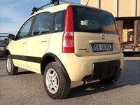Usata Fiat Panda 4x4 Climbing 69 CV (50 kW) 2006 Giallo Utilitaria