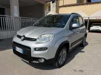 Usata Fiat Panda 4x4 S 75 CV (55 kW) 2014 Grigio Utilitaria