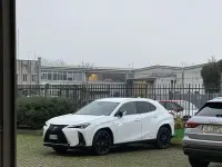 Usata Lexus UX 250h Sport Line 184 CV (135 kW) 2022 SUV