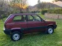 Usata Fiat Panda 4x4 50 CV (36 kW) 1991 Utilitaria
