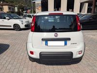 Usata Fiat Panda S 69 CV (50 kW) 2024 Bianco Utilitaria