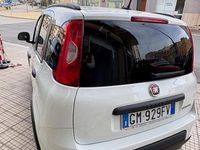 Usata Fiat Panda S 69 CV (50 kW) 2022 Bianco Utilitaria