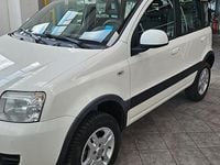 Usata Fiat Panda 4x4 Climbing 75 CV (55 kW) 2011 Bianco Utilitaria