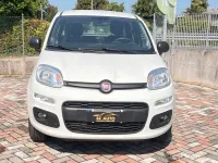 Usata Fiat Panda Lounge 84 CV (61 kW) 2020 Bianco Utilitaria