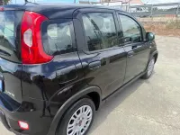 Usata Fiat Panda 69 CV (50 kW) 2023 Nero Utilitaria