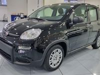 Usata Fiat Panda S 69 CV (50 kW) 2024 Nero Utilitaria