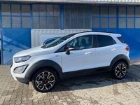 Usata Ford Ecosport Active 125 CV (91 kW) 2021 Bianco SUV