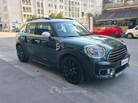 Usata Mini Countryman 136 CV (100 kW) 2019 Verde SUV