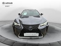 usata Lexus UX 250h Hybrid Premium