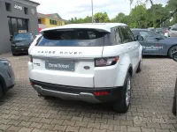 Usata Land Rover Range Rover evoque Prestige 150 CV (110 kW) 2014 Bianco SUV