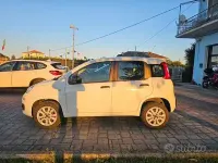 Usata Fiat Panda Easy 84 CV (61 kW) 2018 Bianco Utilitaria