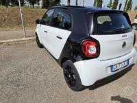 Usata Smart ForFour 71 CV (52 kW) 2016 Bianco Utilitaria