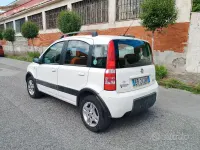 Usata Fiat Panda Climbing 60 CV (44 kW) 2009 Utilitaria