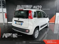 Usata Fiat Panda Easy 85 CV (62 kW) 2014 Bianco Berlina
