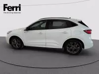 Usata Ford Kuga ST-Line 120 CV (88 kW) 2023 Bianco frozen SUV