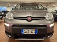 Usata Fiat Panda 4x4 S 85 CV (62 kW) 2020 Grigio Utilitaria