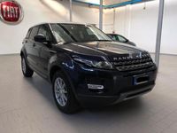 usata Land Rover Range Rover evoque Range Rover Evoque 2.0 eD4 5p. Pure