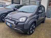 Usata Fiat Panda Cross Cross 69 CV (50 kW) 2020 Grigio Utilitaria