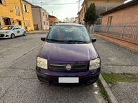 usata Fiat Panda Panda 1.2 Dynamic Mamy