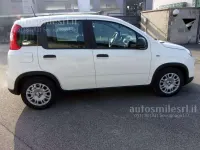 Nuova Fiat Panda S 69 CV (50 kW) 2026 Bianco Utilitaria