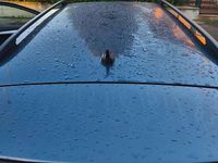 Usata Skoda Octavia G-TEC Executive 131 CV (96 kW) 2020 Grigio Station wagon