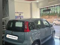 Usata Fiat Panda 69 CV (50 kW) 2022 Utilitaria