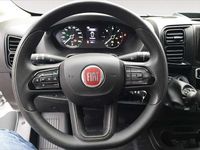 Usata Fiat Ducato 140 CV (102 kW) 2024 Bianco Furgone