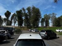 Usata VW Golf VIII Edition 131 CV (96 kW) 2020 Utilitaria