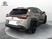 Usata Lexus UX 250h 145 CV (106 kW) 2021 Sonic titanium SUV