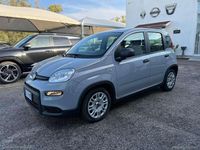 Usata Fiat Panda S 69 CV (50 kW) 2023 Grigio Utilitaria