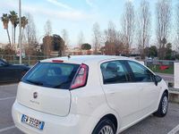 Usata Fiat Punto Evo Young 75 CV (55 kW) 2014 Bianco Utilitaria