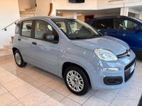 usata Fiat Panda 1.2 69CV Easy