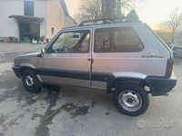 Usata Fiat Panda 4x4 Trekking 54 CV (39 kW) 1999 Grigio Utilitaria