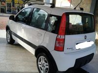 usata Fiat Panda 4x4 Panda 1.3 MJT 16V 4x4 Climbing