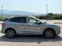 Usata Ford Kuga ST-Line X 152 CV (111 kW) 2023 Grigio SUV